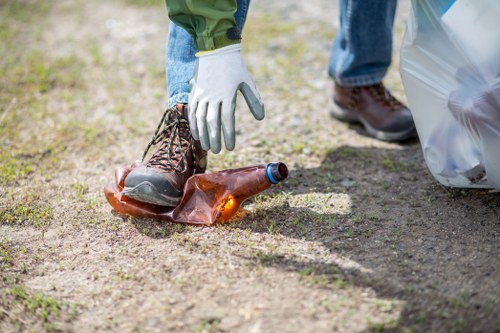 Choosing the right skip for your business needs