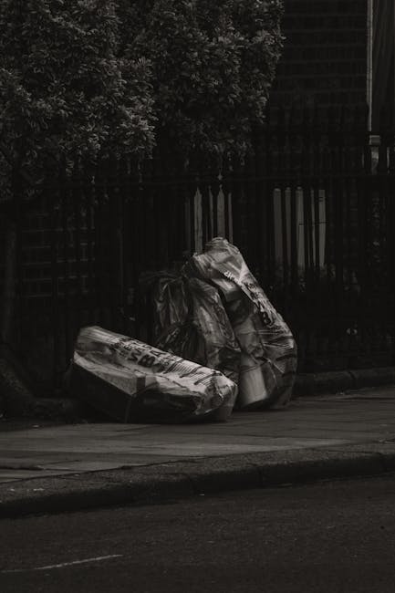 Sydenham High Street rubbish removal guide for homes